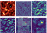 Learning cosmic web environments with diffusion models